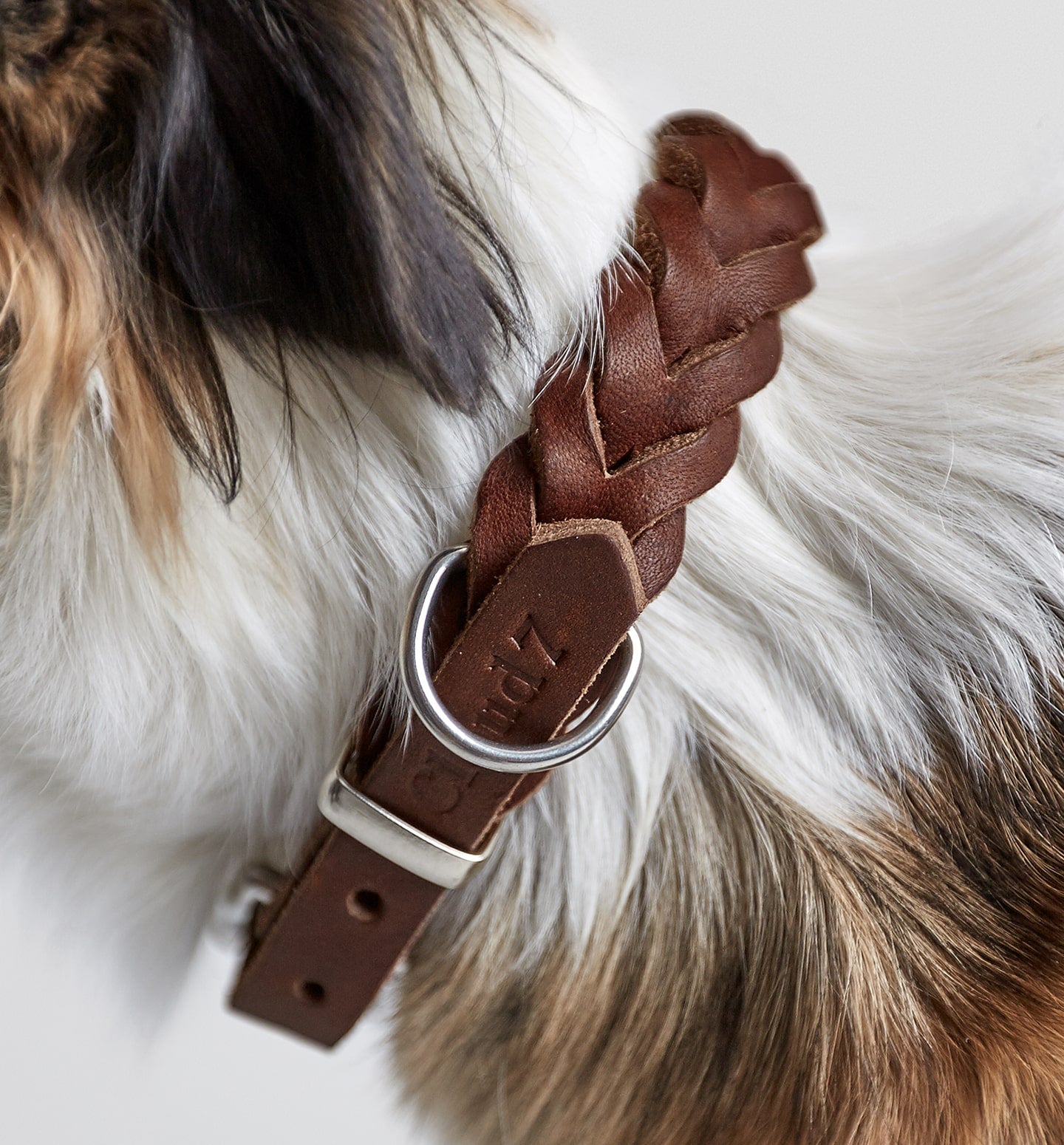 Close up of a dog neck with a braided leather dog collar